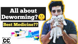 Cat deworming | How to deworm Cats and kittens | Symptoms of Cat worms |  Cat deworming is necessary