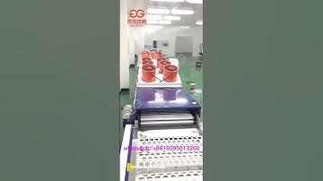 Amazing Citrus Washing Waxing Grading Processing Line🔥🔥🔥