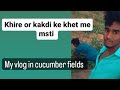 My first vlog in khira ke khet me      chikromandish vlogger masti kiya khet me