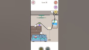 Thief Puzzle: to pass a level 21