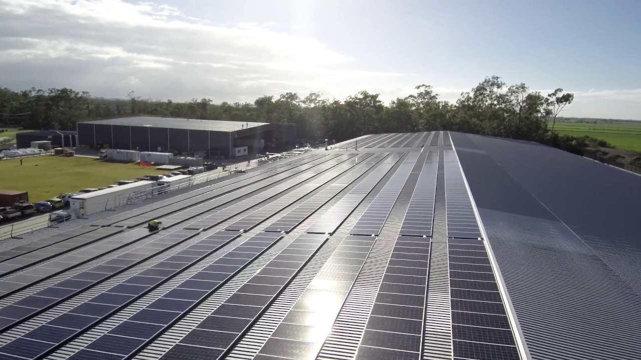 Solar Farm Marland Mushroom - Ever Energy