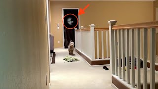 GHOST ACTIVITY CAUGHT ON CAMERA!!