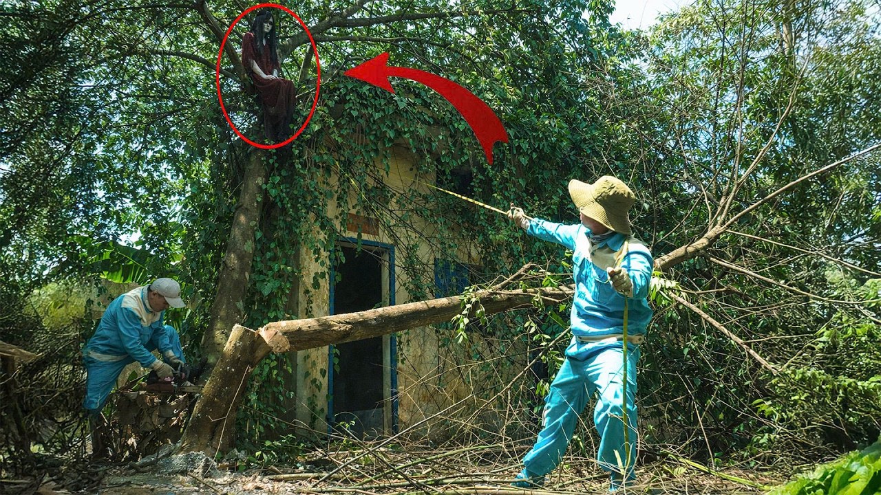Time-Lapse: We Thought It Was Empty… Villagers Flee as the Mysterious Girl Appears on the Rooftop