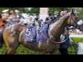 #RoyalAscot Highlights | Day Three