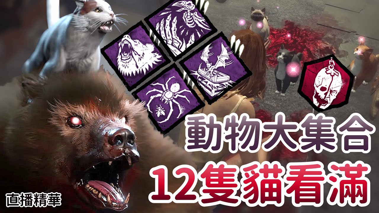【Dead by daylight黎明死線】直播精華~動物大集合 12隻貓看滿