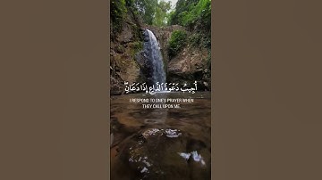 وإذا سألك عبادي عني -سورة #البقرة - القارئ الشيخ #محمد_حسين_عامر #رمضان #صنعاء #اليمن #القران #Quran