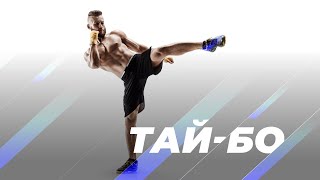 картинка: Тай-бо – тренер Роман
