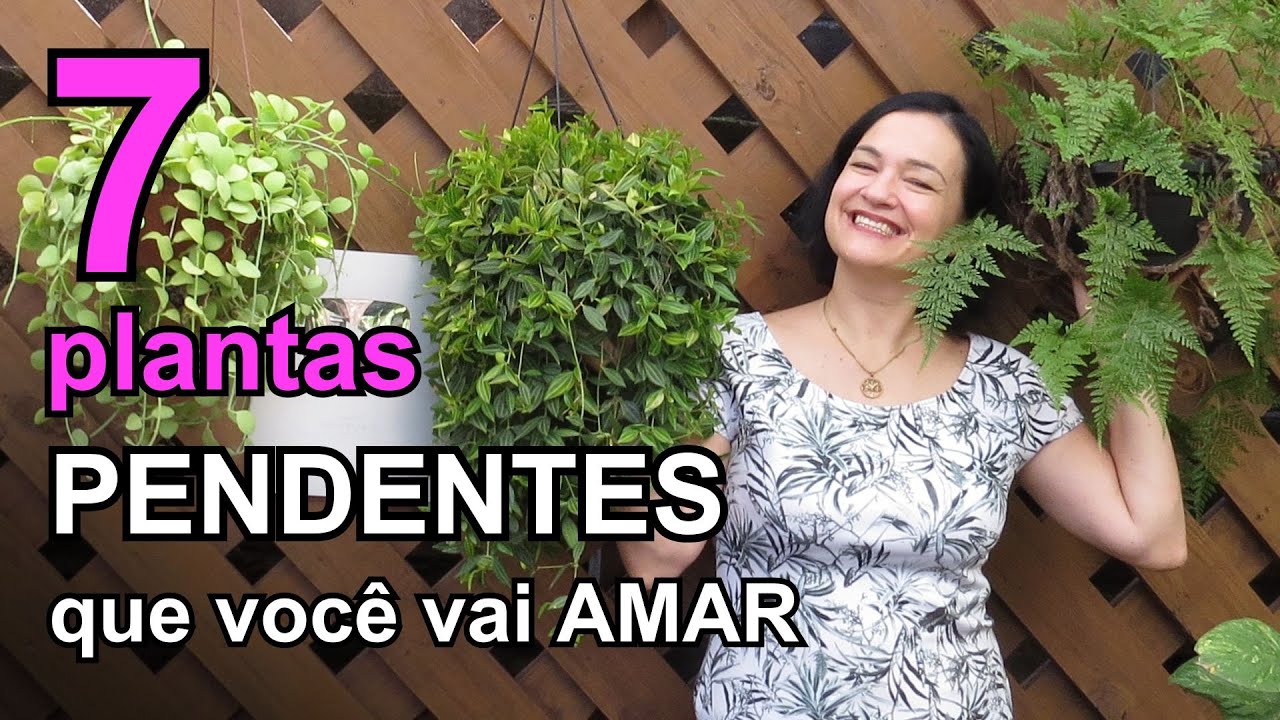 7 plantas PENDENTES que você vai AMAR!