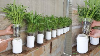 No irrigation - No garden - Great way to grow vegetables in the city