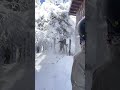 Ski Cabin Roof Drop Into Tree at Killington Mountain Vermont