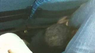 IMG 4021