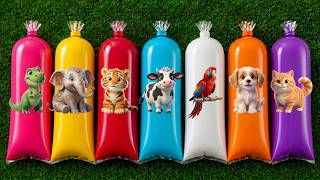 Menemukan Hewan Sapi, Gajah, Domba, Panda, T-Rex, Burung, Dog, Kucing, Harimau, Singa, Lumba-Lumba