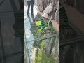 Look how scared the dog is!