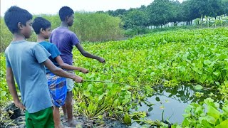 Hook Fishing In Bangladesh Rohu Fish Catching By Rod And Hook Mi Fishing Part 1