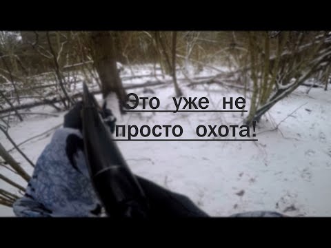 Видео: НЕ ОБЫЧНАЯ ОХОТА на волка с флажками. Взгляд изнутри