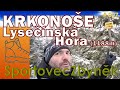 #007 SportovecZbyněk - Krkonoše Lysečínska Hora [1188m]