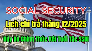 Cập Nhật Quan Trọng An Sinh Xã Hội Tháng 12 Những Điều Cô Chú Cần Biết Trước Khi Bước Sang Năm 2026