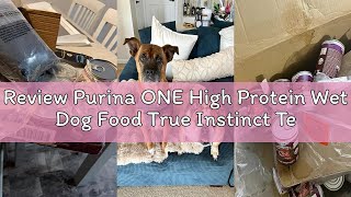 Review Purina ONE High Protein Wet Dog Food True Instinct Tender Cuts in Dog Food Gravy With Real Be