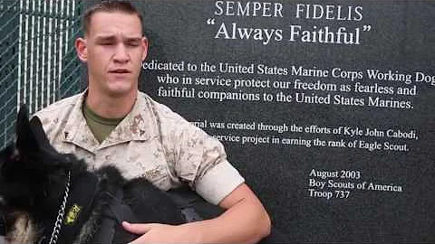 What It Takes to be A Military Working Dog Handler in the Marine Corps