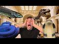 I Brought VENOMOUS SNAKES To A Public Museum 