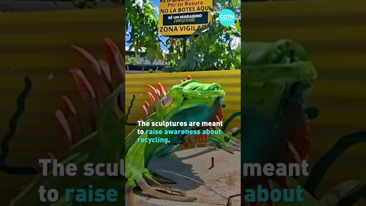 Venezuelan artist turns trash into treasure