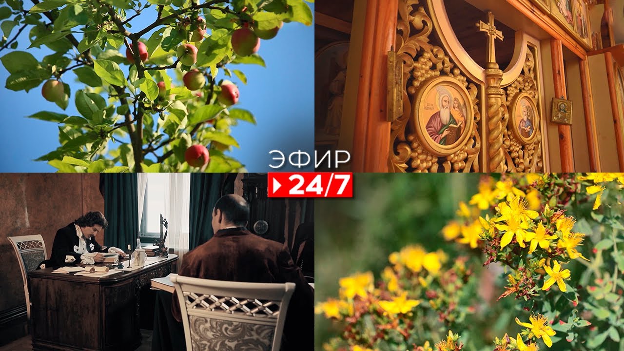 Яблочный спас | Как работает иглоукалывание | День фотографии - YouTube