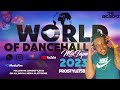 World of dancehall  by prostyle758  2023