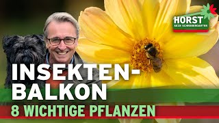 Mit diesen 8 Pflanzen hilfst Du den Insekten auf dem Balkon | Horst sein Schrebergarten