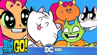 Teen Titans Go! | A Funny Cat Video | @dckids