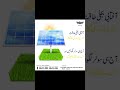 * SHAHEEN ELECTRONICS &amp; SOLAR #short  #electric #shahgsolar #solarcity #renewableenergy #solar