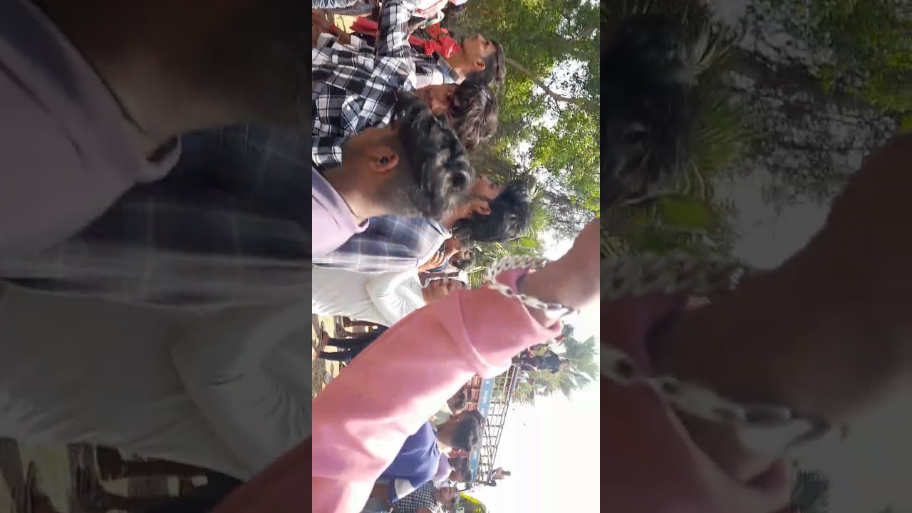 Pankaj,,Dj,,loding,,motto,melona❓️🙏🔥