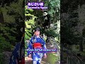 Ajisai-bashi/Cover #shorts