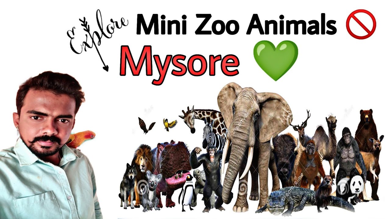 Mysore Mini Zoo ನೋಡಿದಿರಾ 🤗 Bangalore To Mysore Jolly Ride
