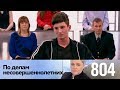 По делам несовершеннолетних | Выпуск 804