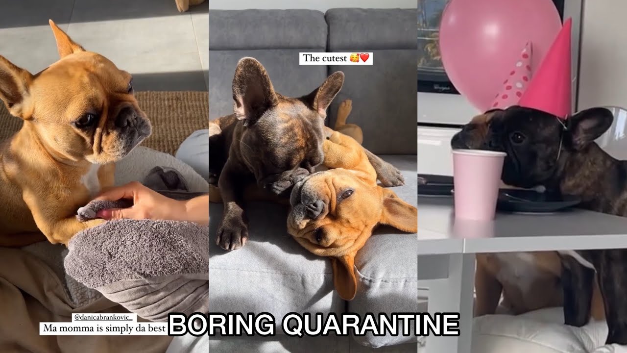 We Want Freedom 🙄