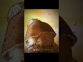 Thurfin Vs Eren Anime Edit Vs Thurfin Vs Eren Anime Edit Vs