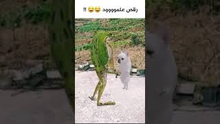 رقص مضحك حاول ان تمسك نفسك من الضحك #كوميديا shorts#