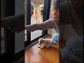 #funny#viral#animal #viral #trending #short