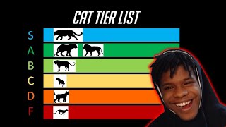 BIG CATS DONT PLAY!! | The Cat Tier List | (Reaction) Wealth