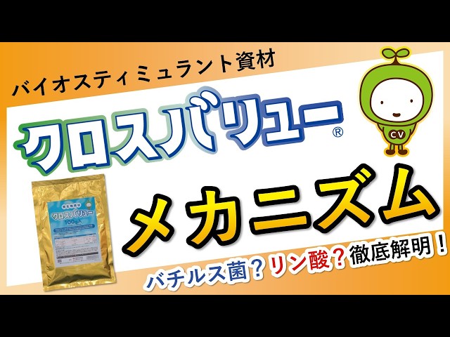 BS資材「クロスバリュー」メカニズム編