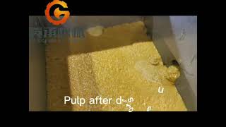 Mango pulp production line from fresh mango to the 220L aseptic bag package