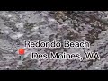 Low tides through May 20 reveal sea life along Washington coastal areas