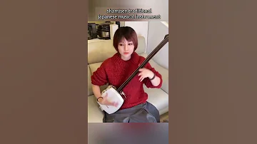 Shamisen Instrument Traditional Japanese Musical Intrument 