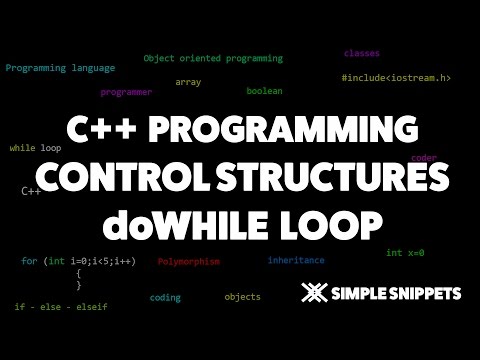 Do While Loop