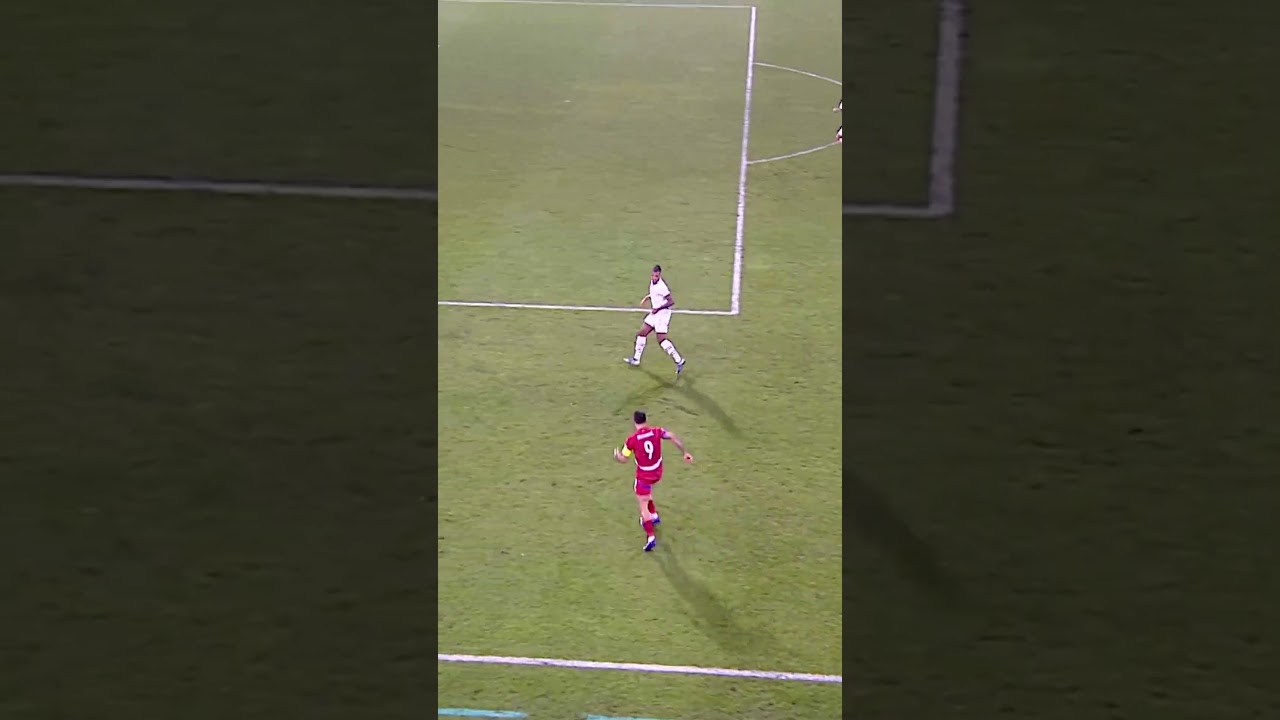 Mitrović 🚀