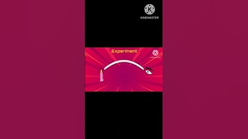 What is light, shadow and reflection| Transparent object | Translucent object|Opaque object| Science