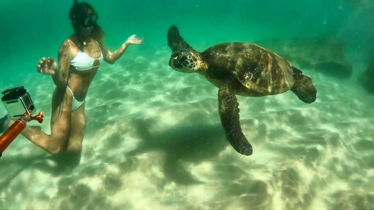 GoPro Hero 6: Insane Clarity and Honu-Disney Land with Kym - KnektUSA