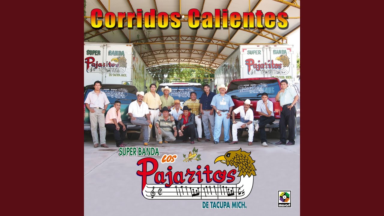 Gallo De Tierra Caliente