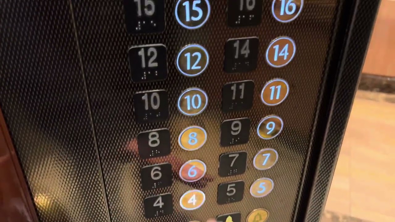 KONE Scenic Midship Elevators onboard the Royal Princess cruise