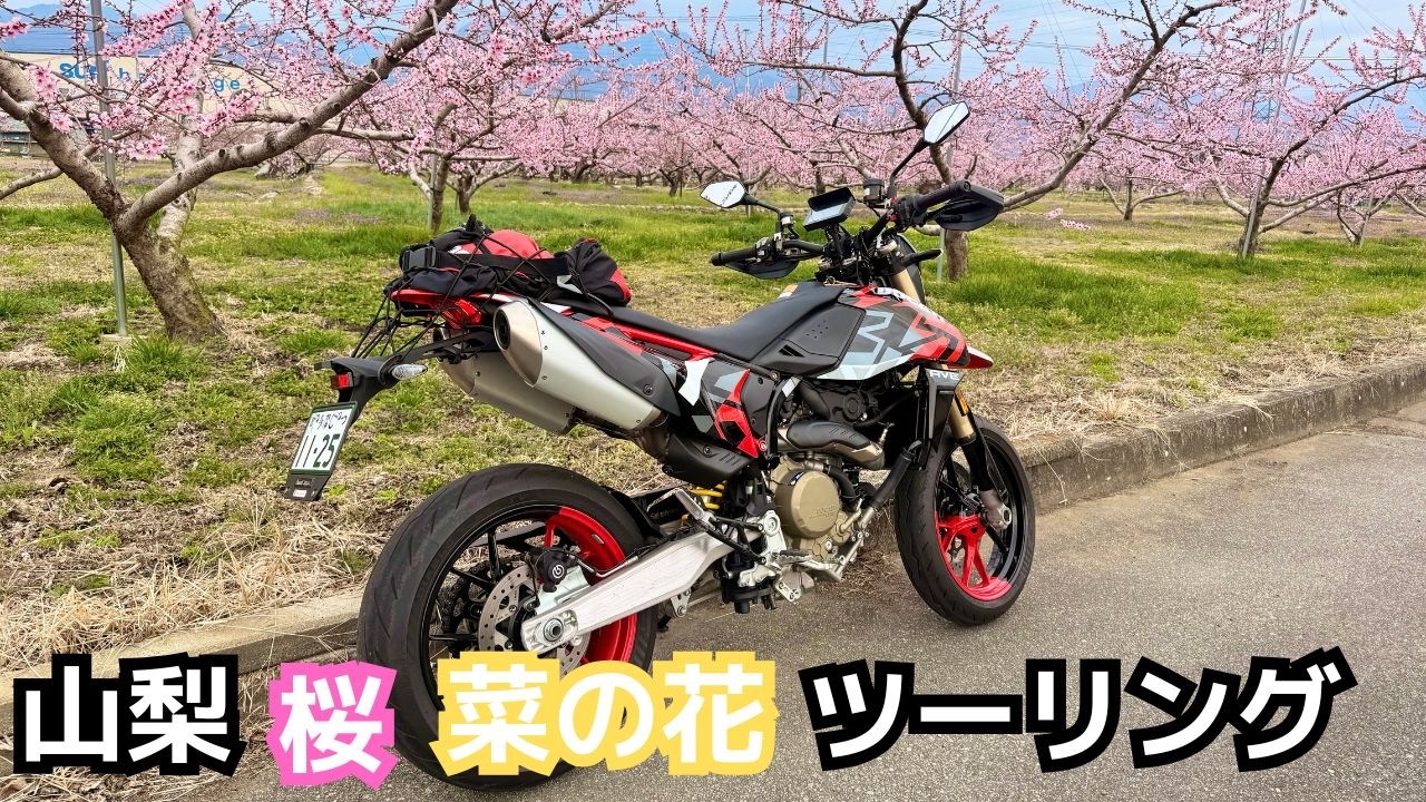 Prostitute / Attempted Martyr 限定カラーバイナル Yamanashi, Kofu/Katsunuma: Cherry Blossom and Rapeseed Flower